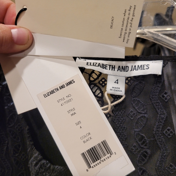 Elizabeth & James Black Embroidered Silk Georgette Mia Maxi Dress - Picture 5 of 11